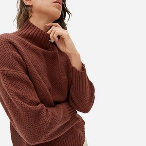 Everlane Cashmere Stroopwafel Turtleneck